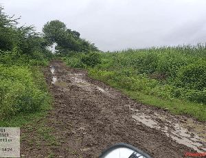 Sanjivani helps village people build roads in the village.